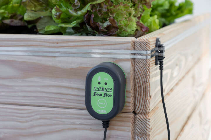 KERBL SnailStop Elektrischer Schneckenzaun